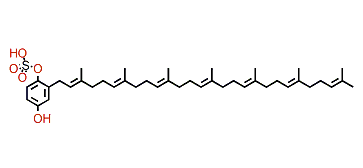 Heptaprenylhydroquinone 1-sulfate